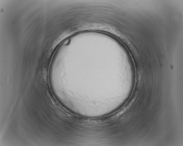 X0000080131505200701051406