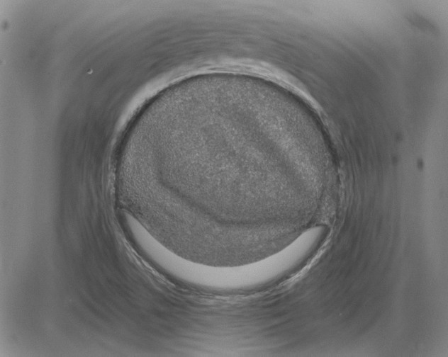 X0000080131506200701051406