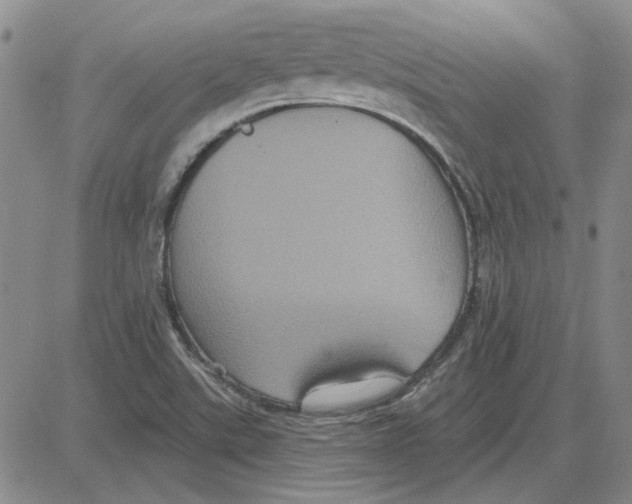 X0000080131507200701051406