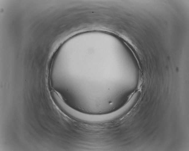 X0000080131508200701051406