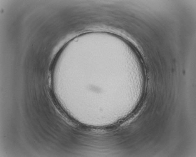 X0000080131509200701051406