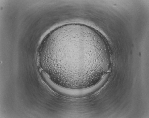 X0000080131510200701051406