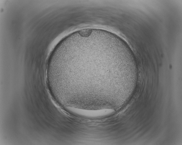 X0000080131511200701051406