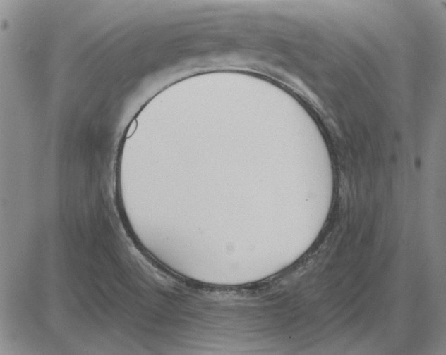 X0000080131512200701051406