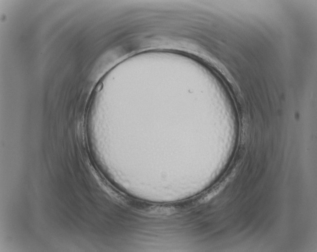 X0000080131513200701051406