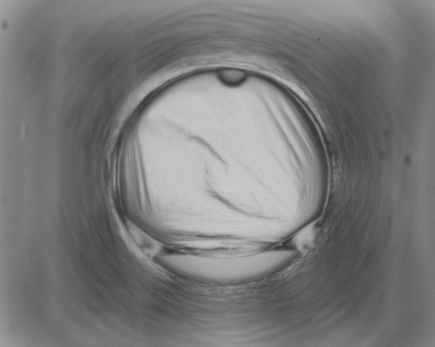 X0000080131515200701051406