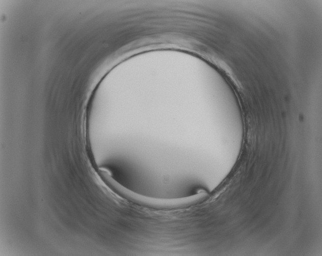 X0000080131516200701051406