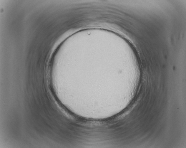 X0000080131517200701051406