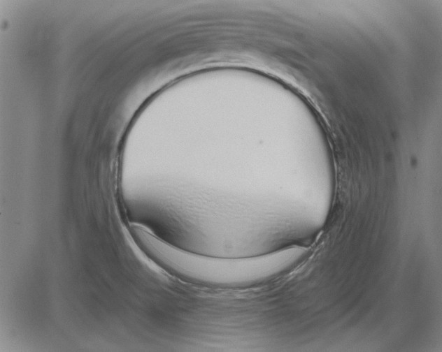 X0000080131519200701051406