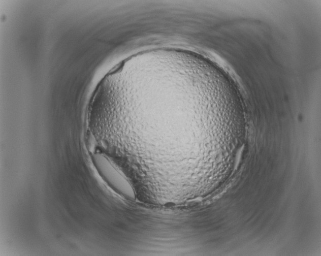 X0000080131520200701051406