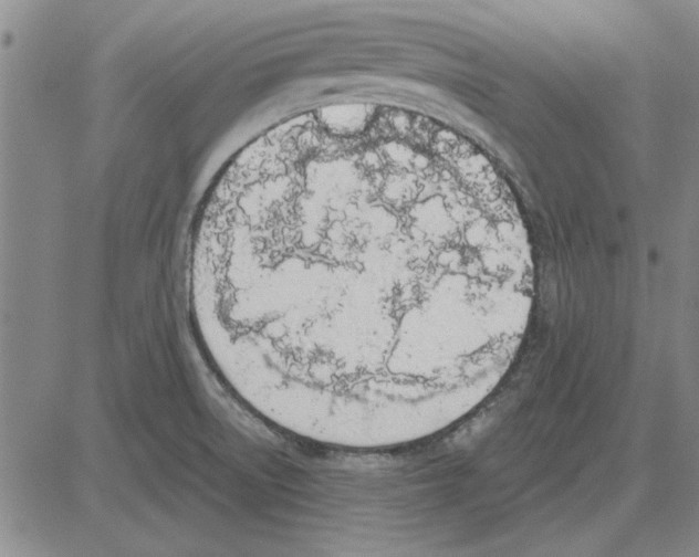 X0000080131522200701051406