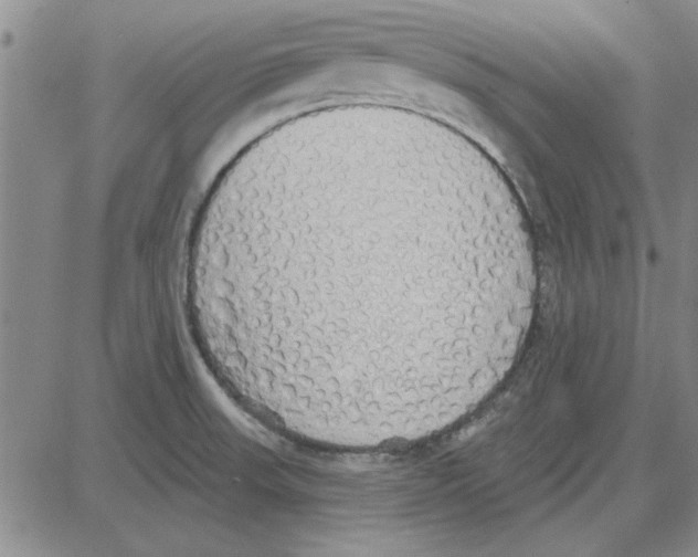 X0000080131523200701051406