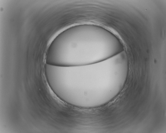 X0000080131524200701051406