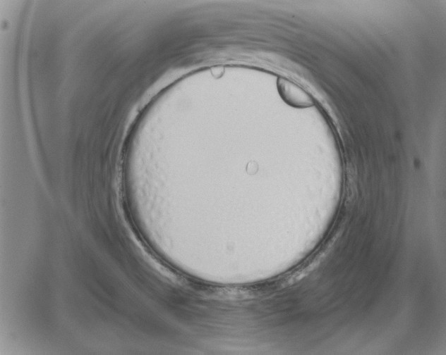 X0000080131525200701051406