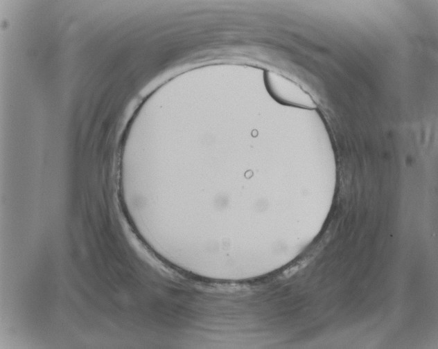 X0000080131526200701051406