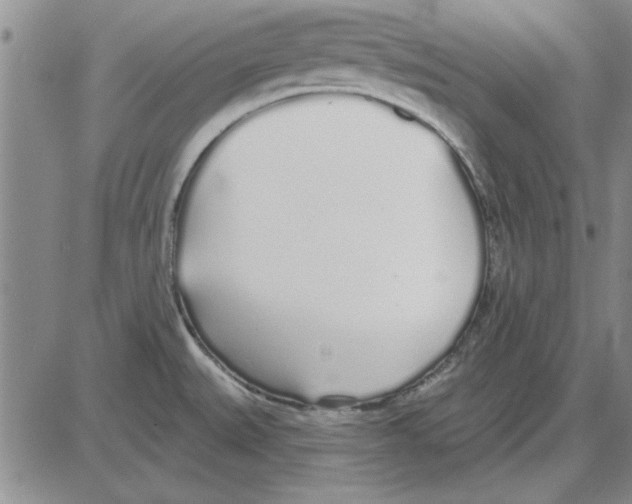 X0000080131527200701051406