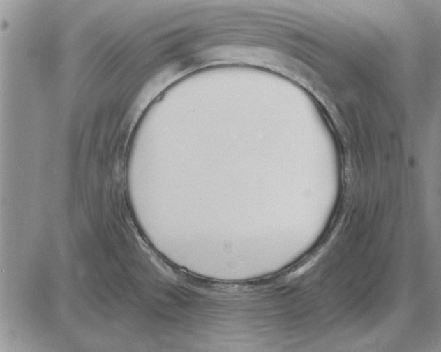 X0000080131529200701051406