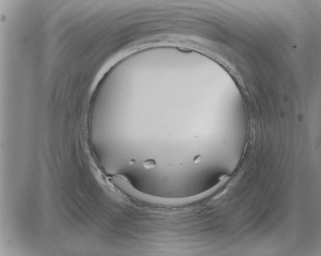 X0000080131530200701051407