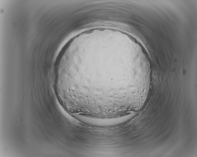 X0000080131531200701051407