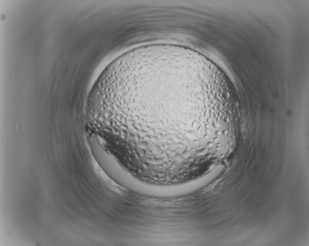 X0000080131532200701051407