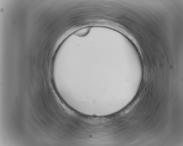 X0000080131533200701051407