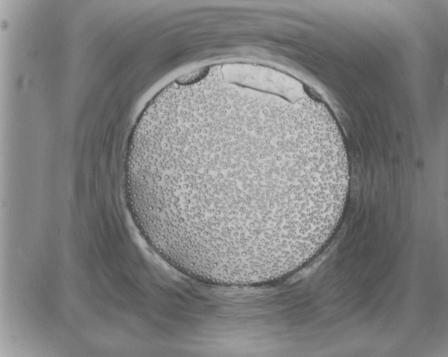 X0000080131534200701051407