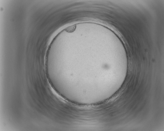 X0000080131535200701051407