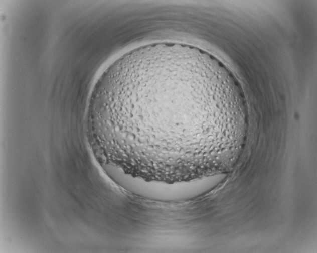 X0000080131536200701051407