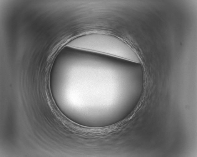 X0000080140001200612081038