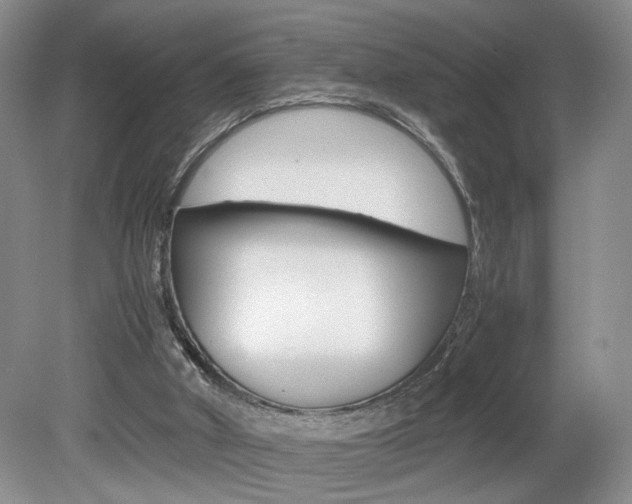 X0000080140010200612081038