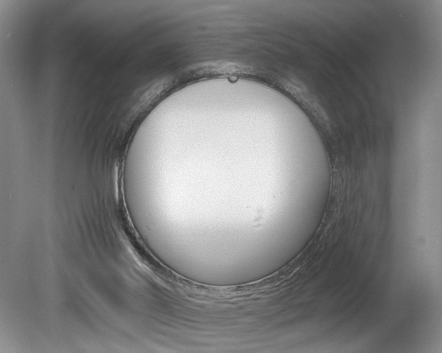 X0000080140014200612081038