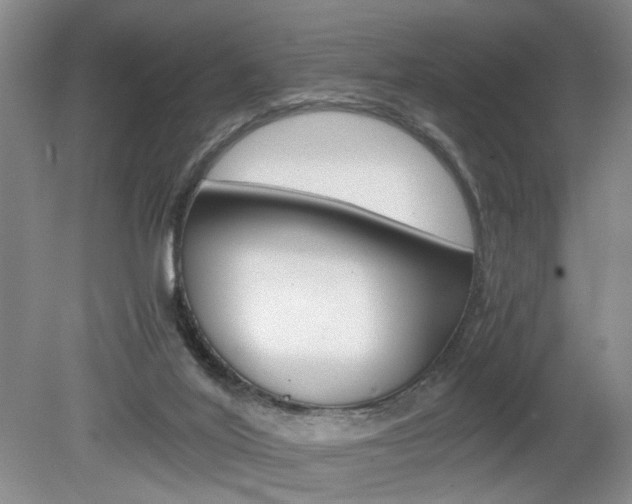 X0000080140020200612081038