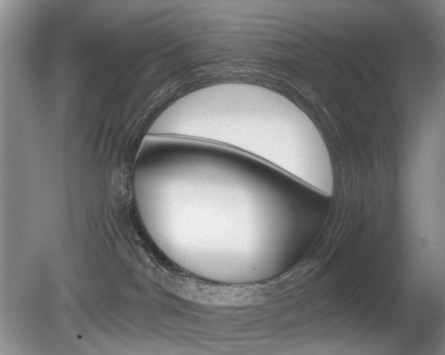 X0000080140044200612081038