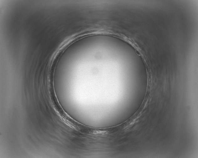 X0000080140055200612081037