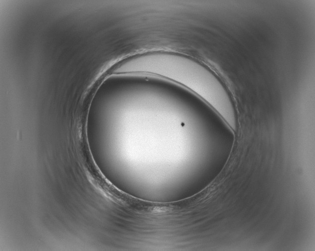 X0000080140060200612081037