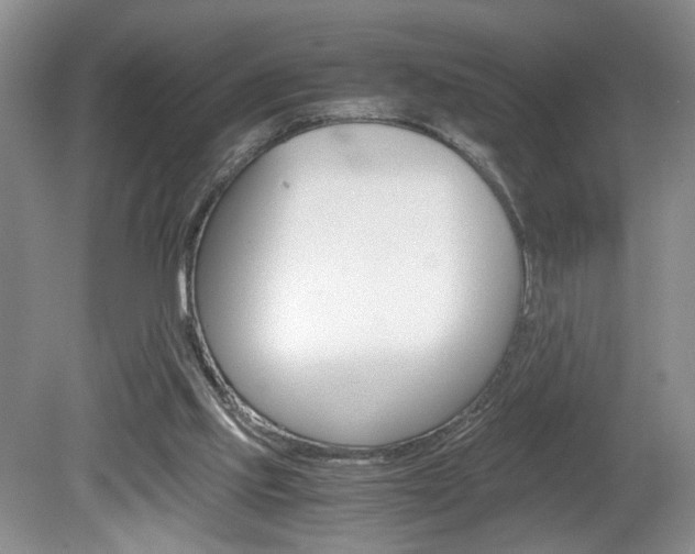 X0000080140061200612081037
