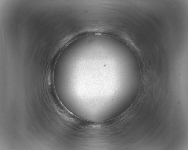 X0000080140068200612081037