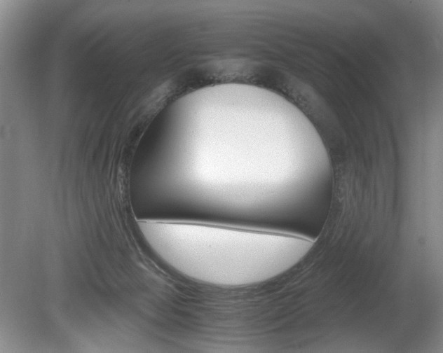 X0000080140077200612081037
