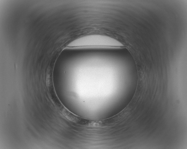 X0000080140080200612081037