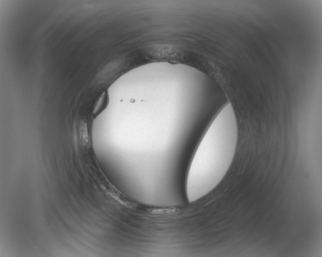 X0000080140089200612081037