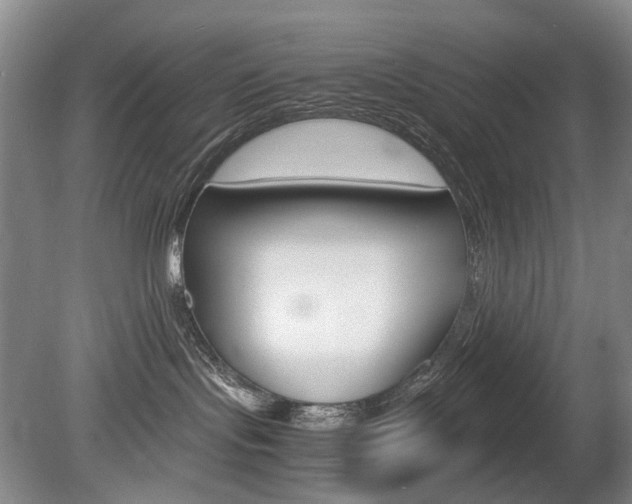 X0000080140095200612081037