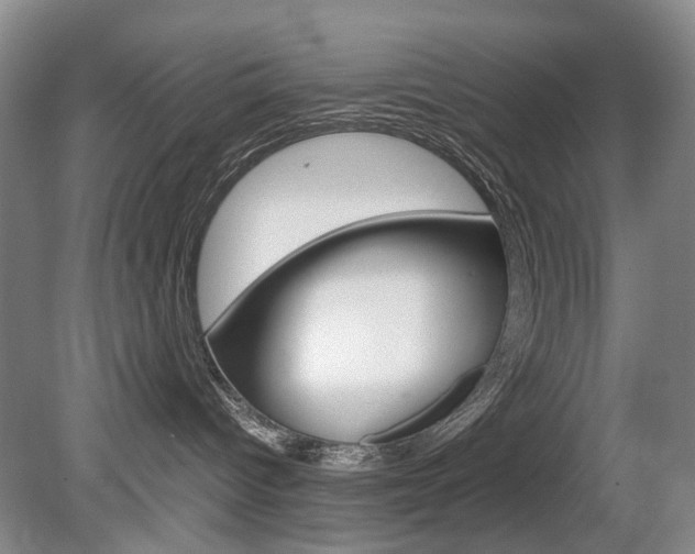 X0000080140096200612081037