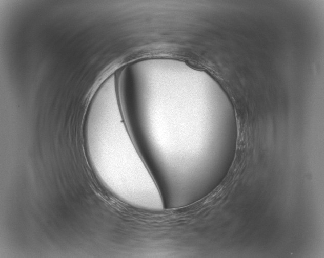 X0000080140099200612081037