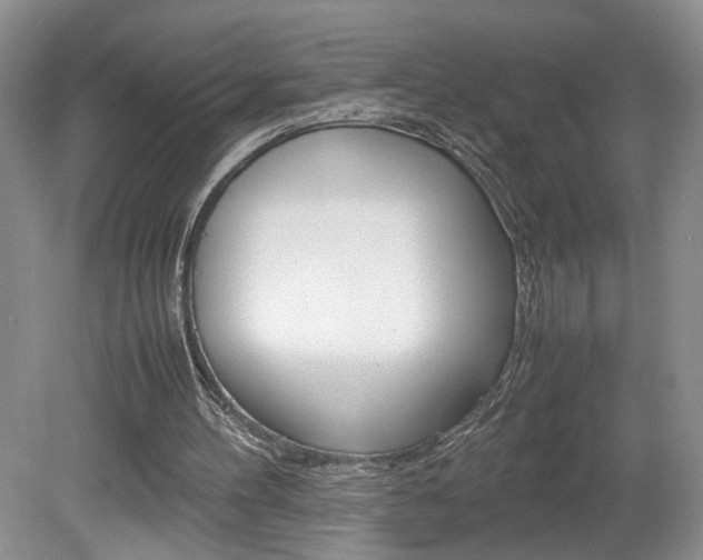 X0000080140100200612081037