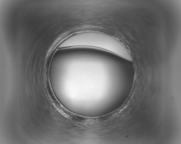 X0000080140101200612081037