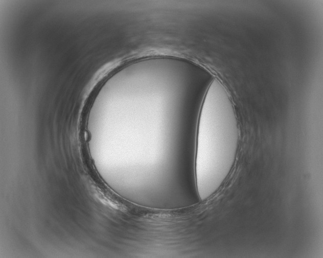 X0000080140104200612081037