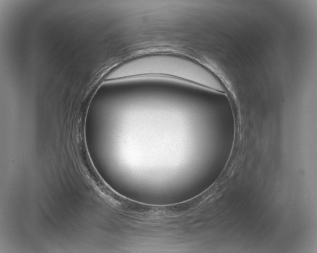 X0000080140105200612081037