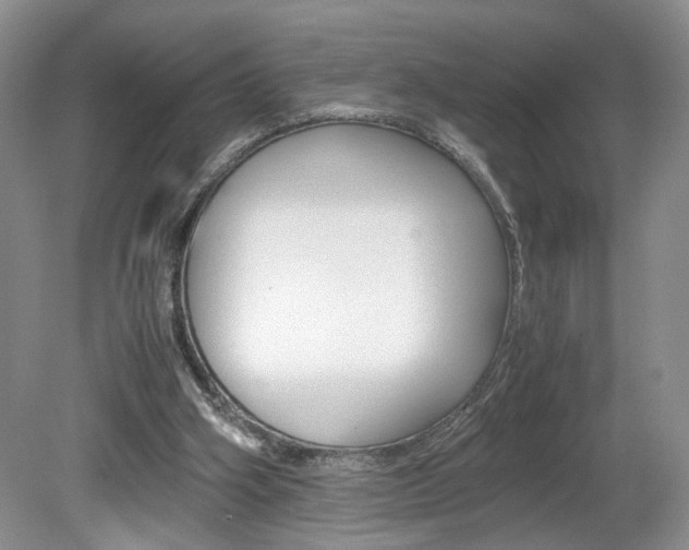 X0000080140106200612081037