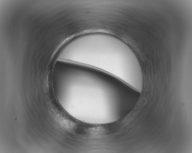 X0000080140112200612081036