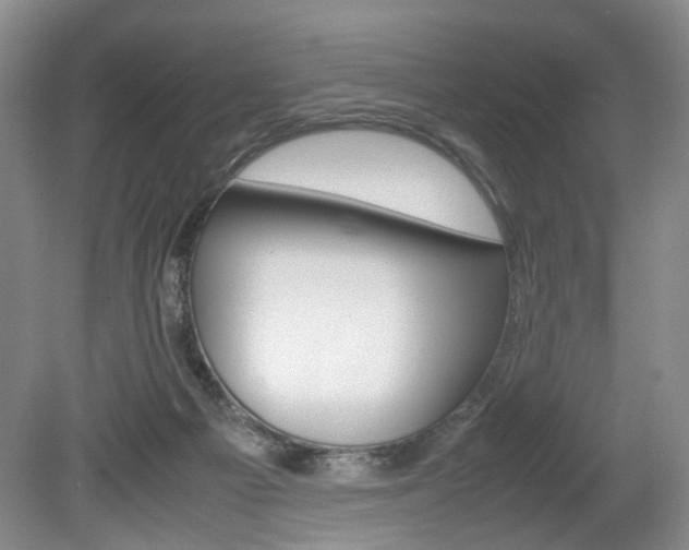X0000080140121200612081036